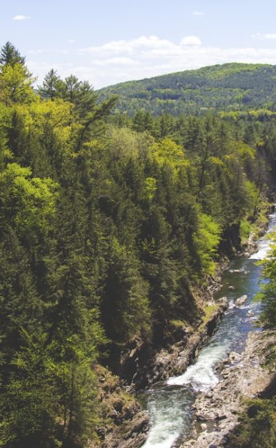 13-photo-1433689056001-018e493576bc