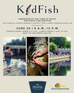 Kidfish