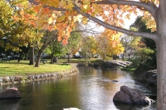 Pictures Perth