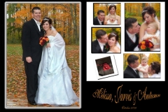 Pictures Perth Weddings