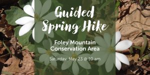 Free Guided Spring Hike at Foley Mountain