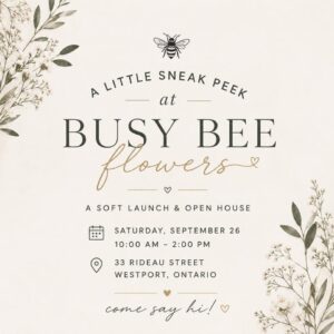 A little Sneak Peek at Busy Bee Flowers