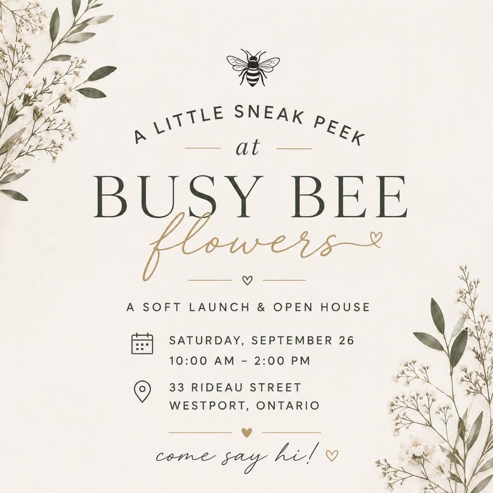 A little Sneak Peek at Busy Bee Flowers