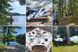 Forest bathing at Foley Mountain