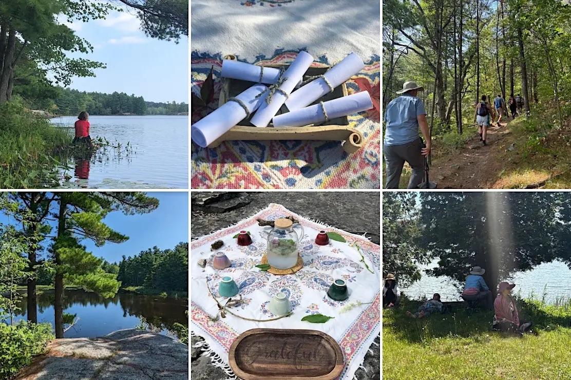 Forest bathing at Foley Mountain