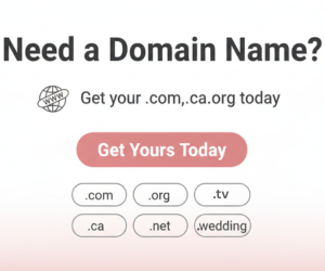 Need-a-domain-name-Aki