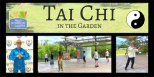 Tai Chi in the Garden