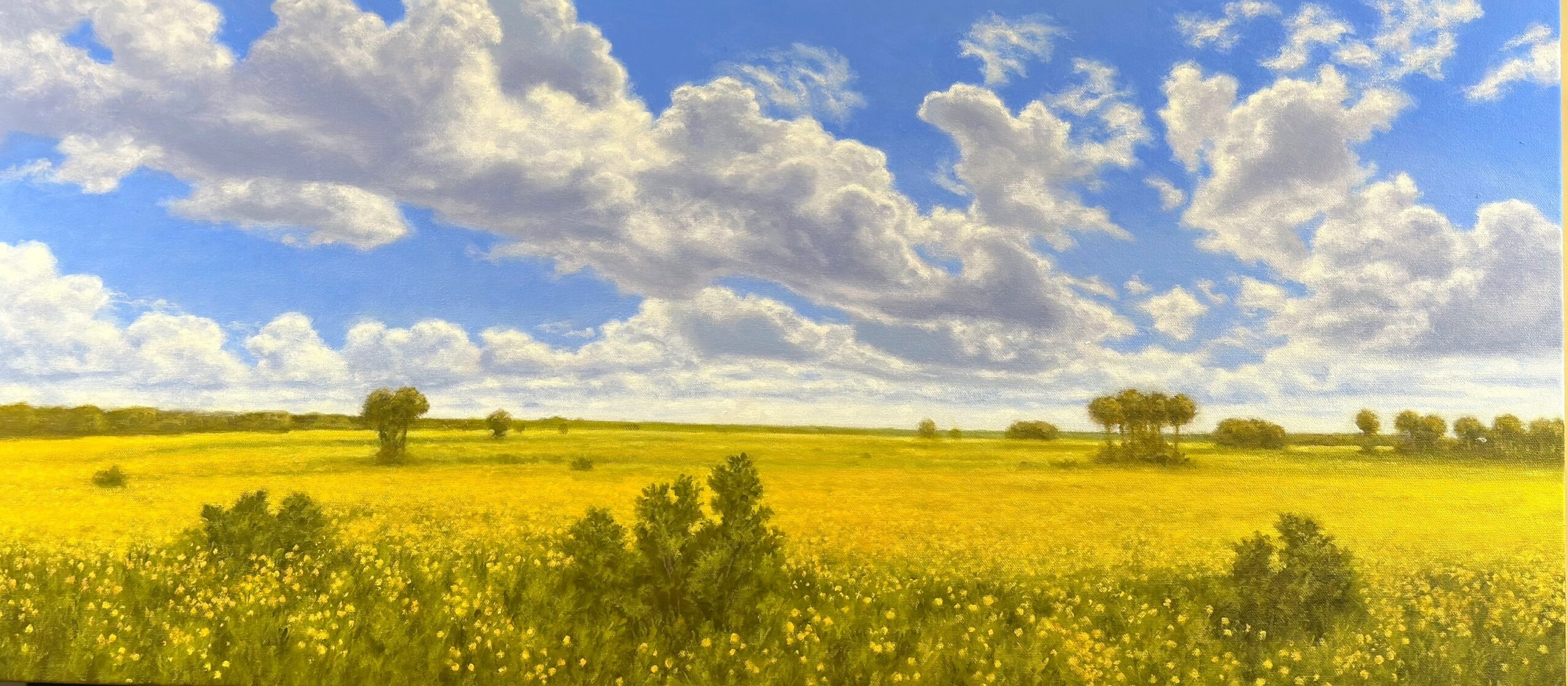 Panoramic Light